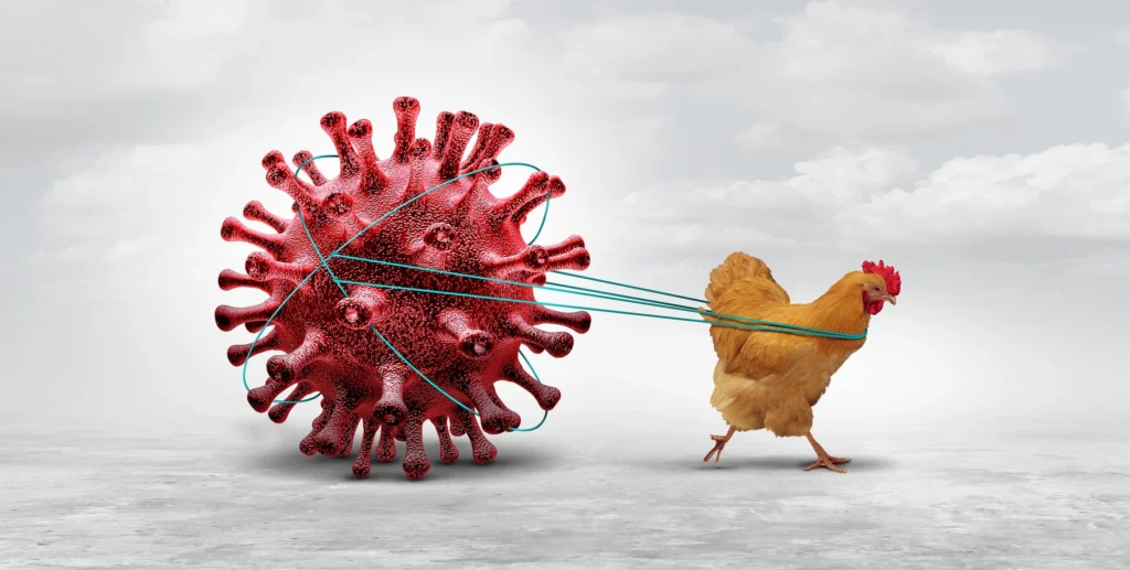 The Bird Flu Pandemic: Could H5N1 Trigger the Next Global Crisis?