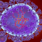 HMPV Outbreak 2025: What We Know About the Covid-Like Virus in China