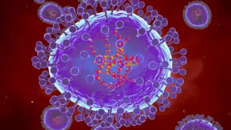 HMPV Outbreak 2025: What We Know About the Covid-Like Virus in China