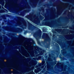 Mayo Clinic Uncovers Brain Cell Changes That Could Explain Tourette Syndrome